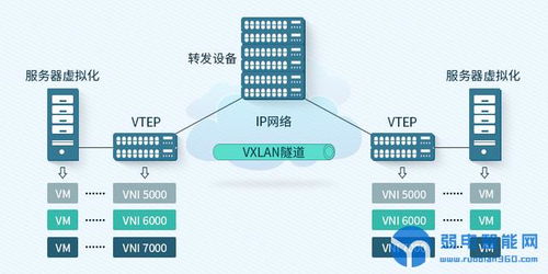 VLAN与VXLAN 网络工程中的隔离与扩展技术辨析